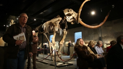 Climate Change May Have Killed the Woolly Mammoth in Mass Extinction