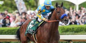 American Pharoah 1-5 favorite for Haskell in 8-horse field