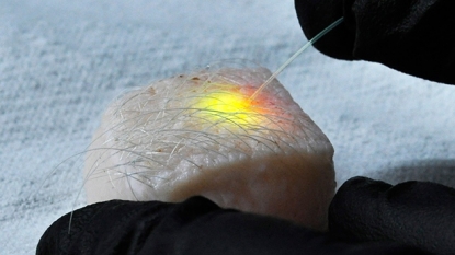 Harvard scientists have turned fat cells into lasers