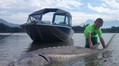 Boy, 9, lands Fraser River sturgeon more than twice his size