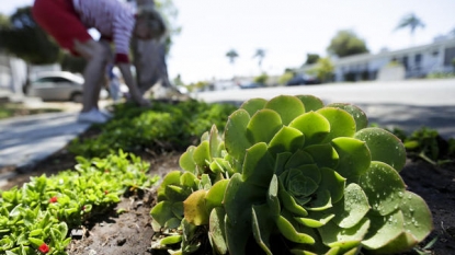 California Says Water Use Fell by 27 Percent in June