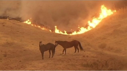 California Wildfire Threatening 200 Homes