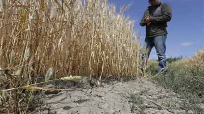 California drought agency goes after another farm district