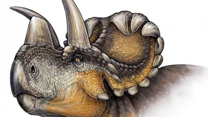 New dinosaur species found in Southern Alberta | News Talk 770 (CHQR)