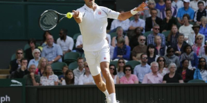 Djokovic glides past Cilic into semi-finals