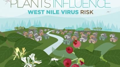 First Human Case of West Nile Virus Reported to DHHS