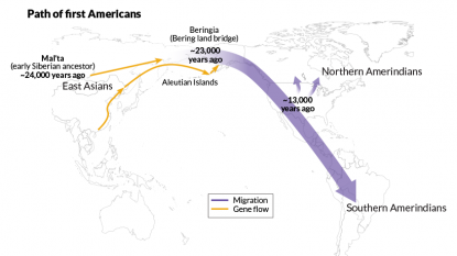 Genome analysis pins down arrival and spread of first Americans