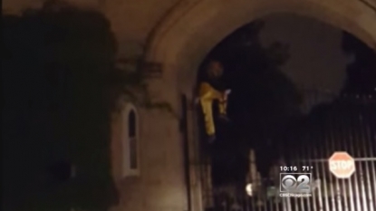 Clown climbs into Chicago cemetery at night