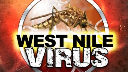 Lucas County Mosquitoes Test Positive For West Nile Virus