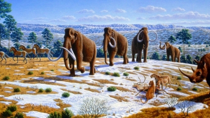 Mammoths Killed by Abrupt Climate Change