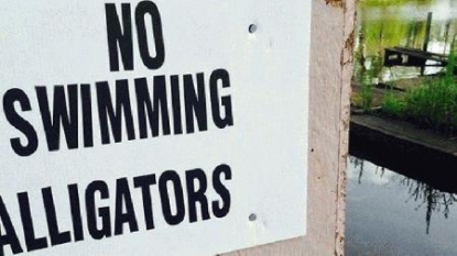 Man swimming dies after being attacked by alligator in Texas