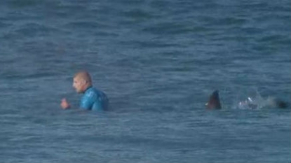 Former world surfing champ Fanning attacked by shark during comp