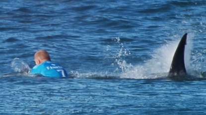 Surfer Mick Fanning Escapes Shark Attack