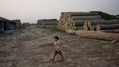 Myanmar jails 153 Chinese citizens for life for illegal logging