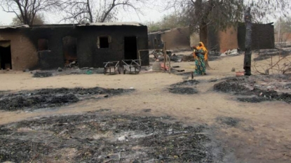 NAIJ.COM News: Boko Haram arrested; Kilkled In Niger