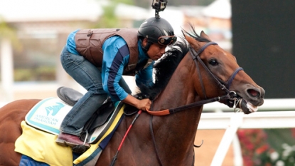 NJ Transit adding trains for American Pharoah race