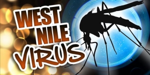 Neb Has First 2015 West Nile Case