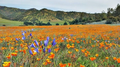 New national monuments coming in Texas, California, Nevada