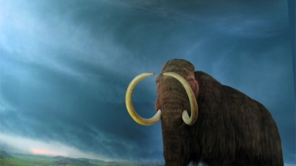 First comprehensive analysis of the woolly mammoth genome completed – Military