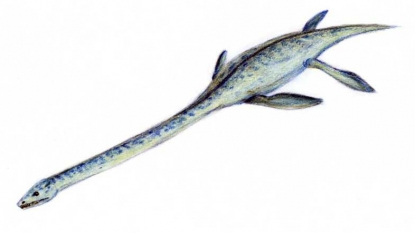 Plesiosaur fossils found in Alaska