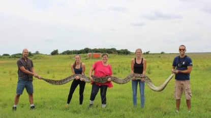 This 18-Foot Python From The Florida Everglades Will Fuel Your Nightmares