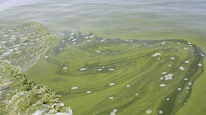 Researchers think Lake Erie in store for another severe toxic algae outbreak