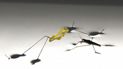 Scientists create an insect-like robot that can walk on water