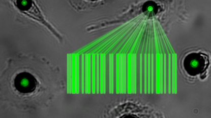 Scientists find a way to transform cells into tiny lasers