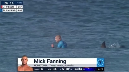 Shaken Fanning not giving up on surfing despite shark attack