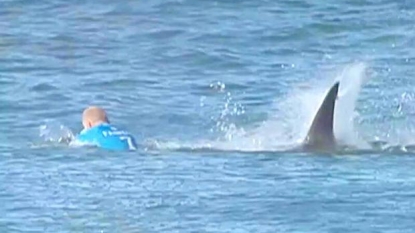 Shark Attack Survivor Mick Fanning Is The Picture Of Gratitude