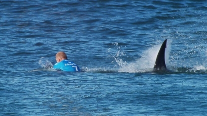 Surfer Survives a Shark Attack on Live TV — Mick Fanning News