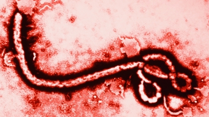 Ebola ruled out for NJ man with like symptoms