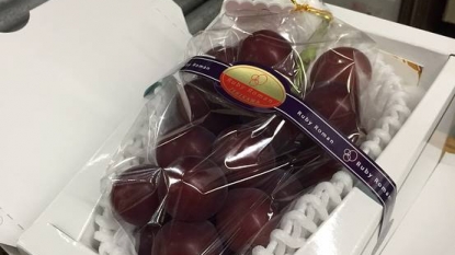 Japan’s grape leap forward