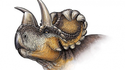 New Dinosaur With Halo Of Horns Found in Canada