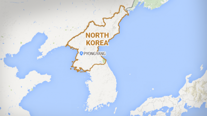 Three rescued N.Koreans want defection in South