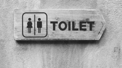 Toilet Phobia: Teen Dies After Refusing To Poop : News : University Herald