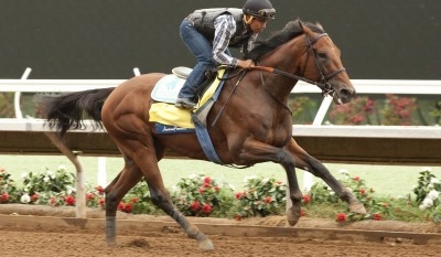 Triple Crown winner American Pharoah tours Monmouth Park