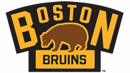 Winter Classic to bring Bruins, Canadiens to home of Pats