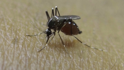 Wyoming gets first report of West Nile Virus case this year