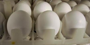 Egg Shortage Causes Restaurants to Drop Items Raise Prices