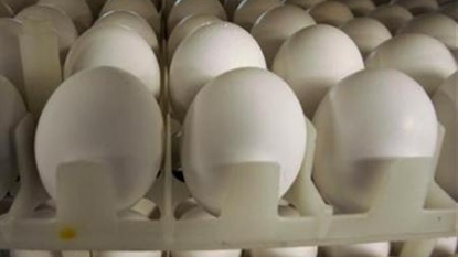 Egg Shortage Causes Restaurants to Drop Items Raise Prices