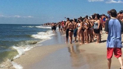 Shark Sighting At Tobay Beach Forces People Back Onto Beach