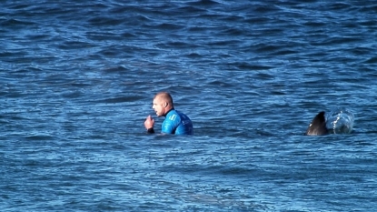 Surfer seriously injured in Australian shark attack