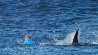 3-time world champ fights off shark during South Africa comp