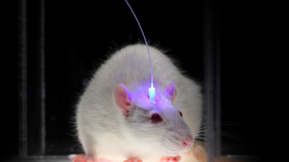 A Breakthrough in Optogenetics: Body Powered Wireless Transmitters