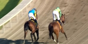 What’s going on with American Pharoah after Haskell win