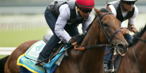 American Pharoah 1-5 favourite for Travers