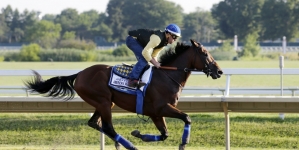 American Pharoah romps in the Haskell