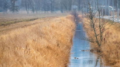 Arkansas AG joins Florida, others to fight EPA