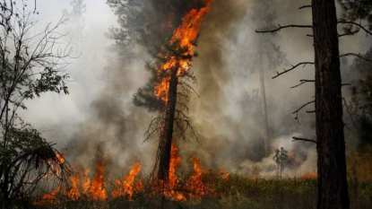 Australian firefighters ‘happy to help’ in Northwest